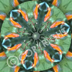 Fishy Flower Mandala