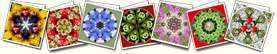 DarrowGraphics Flower Mandala Art Prints & Cards