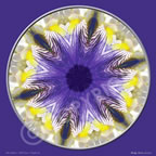 6th Chakra Purple Iris Flower Mandala
